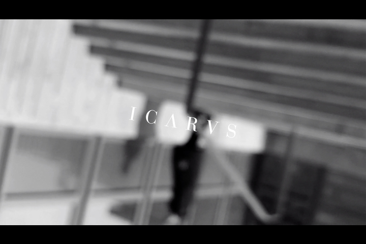 ICARVS - none - none
