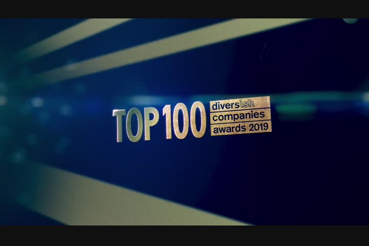 The Valuable 500 - Diversish -