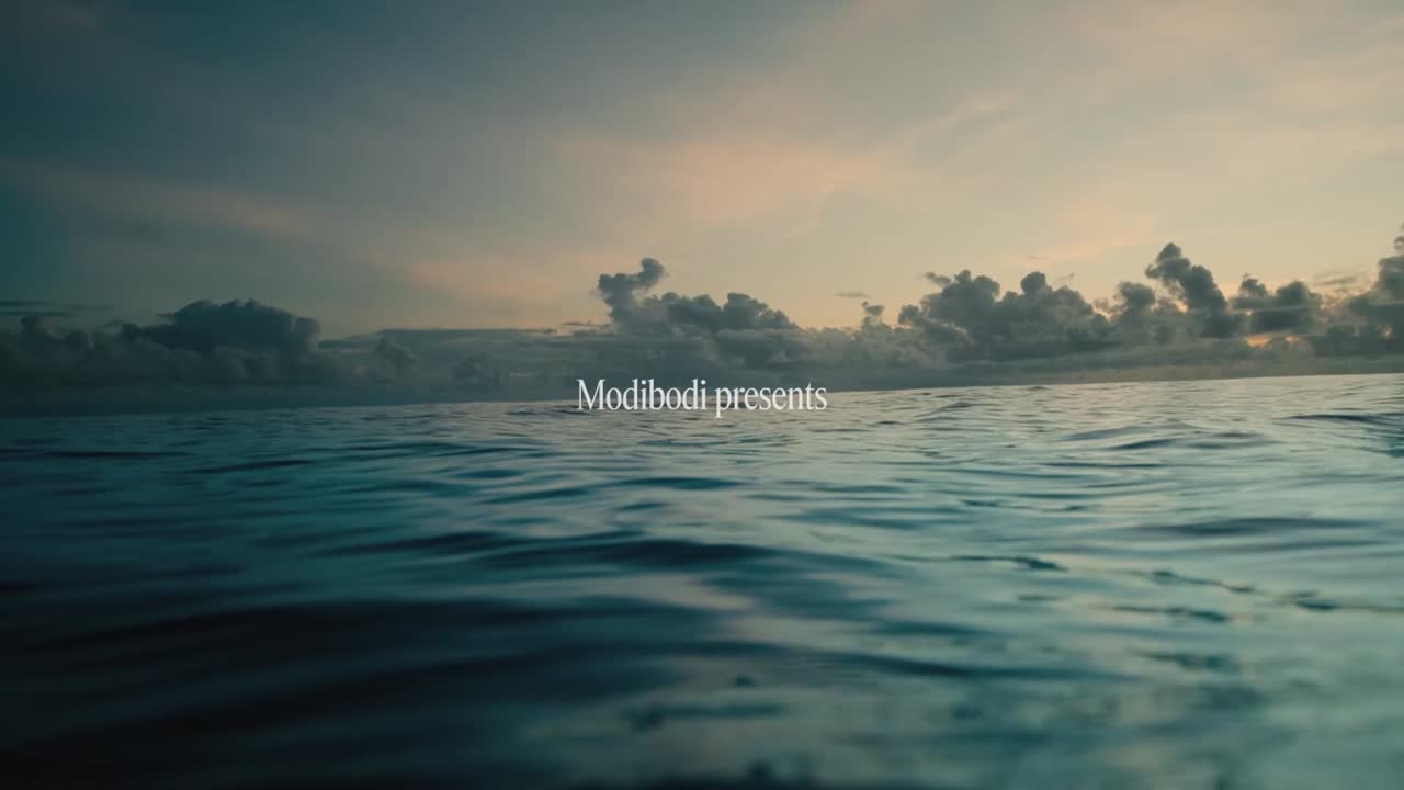 Fear Not - FINCH - FINCH