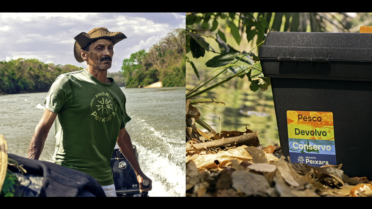 Projeto Peixara - 2024 - Enredo Brand Innovation