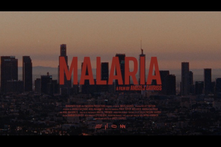 Malaria - Social Averseness film - https://www.houselessnothomeless.info