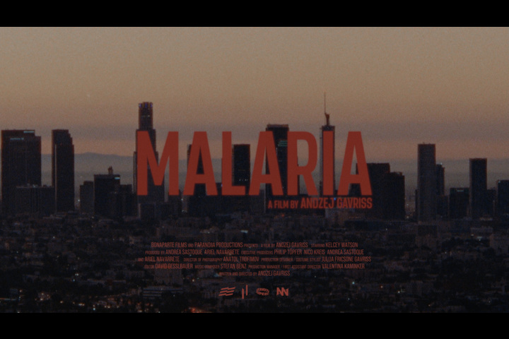 Malaria - https://www.houselessnothomeless.info - Social Averseness film