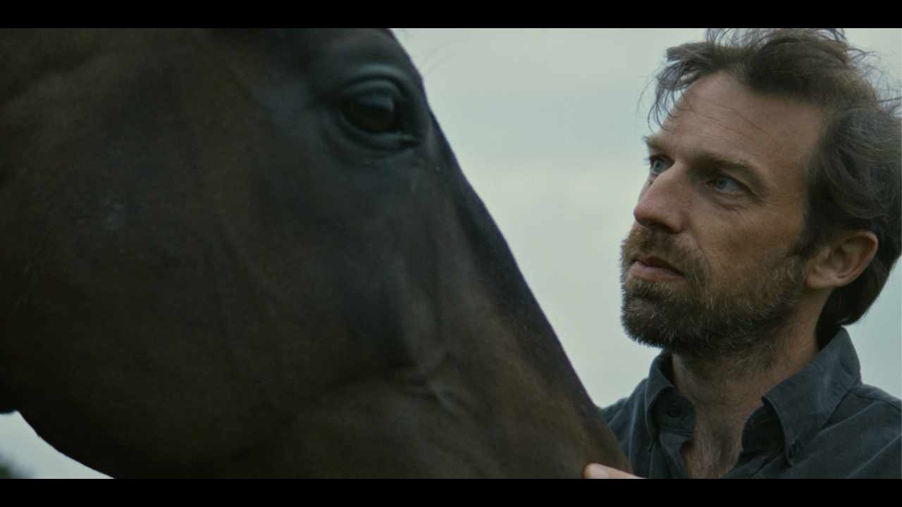 A Great Love - Aisha Schliessler / You Are Here - 