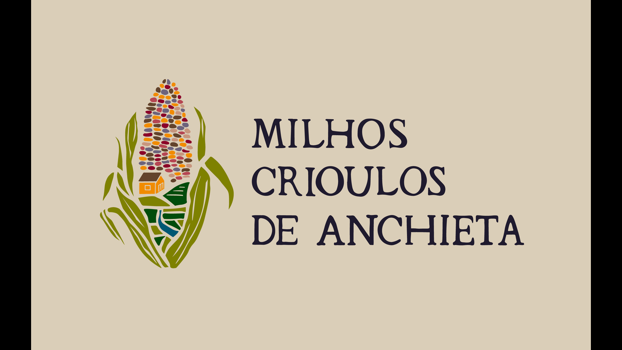Indicação Geográfica Milhos Crioulos de Anchieta - 2024 - 