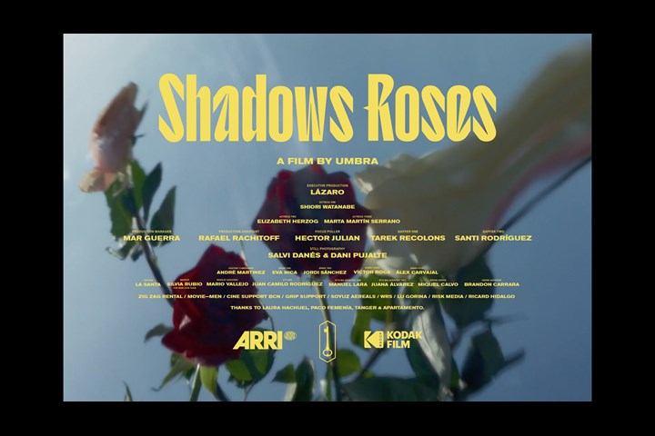 SHADOWS ROSES - LAZARO -