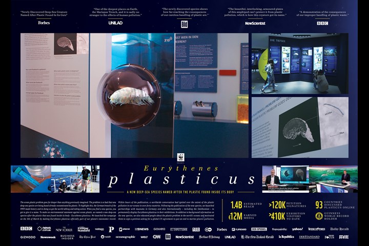 Eurythenes plasticus - A new species - WWF Germany