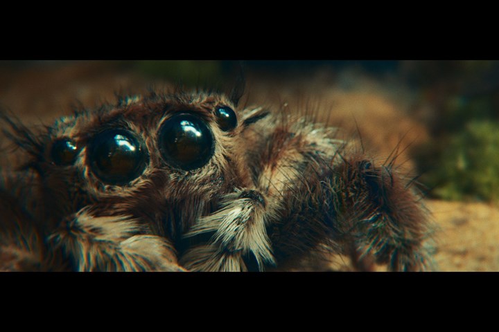 The spider and the window - Zauberberg Productions GmbH - Samsung