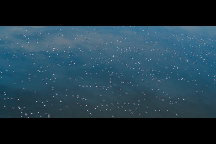 A way of life - Goh Iromoto -