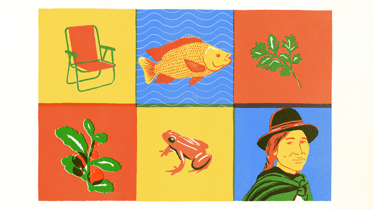 Bar Exquisito - 2021 - Estúdio Caxa