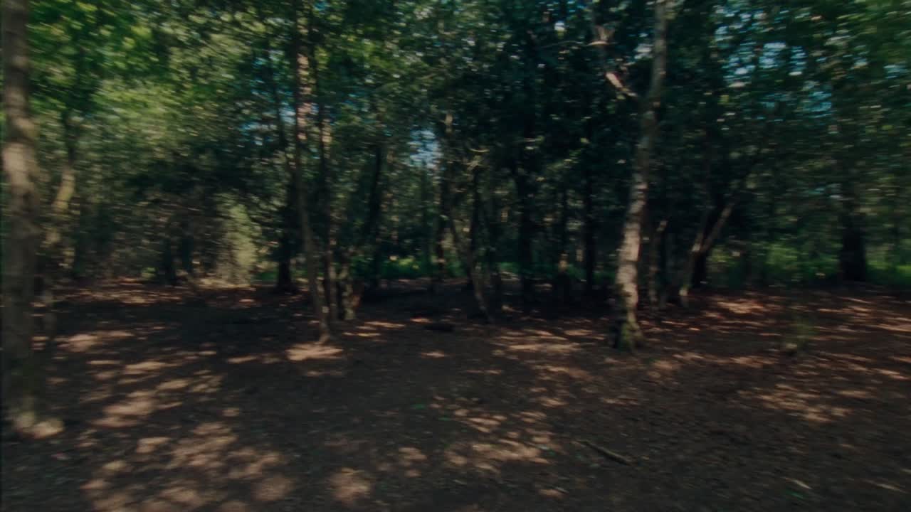 Slow Dream - Stink - Magdalena Spinka