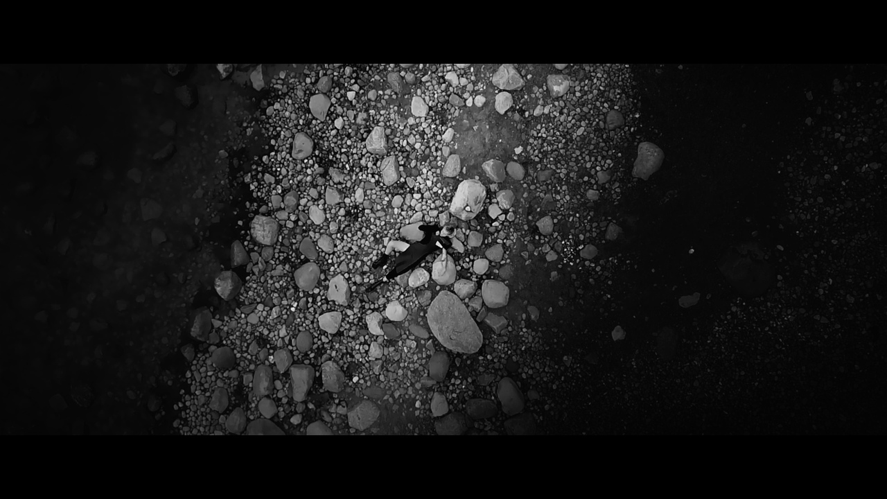 Tides of Freedom - - 