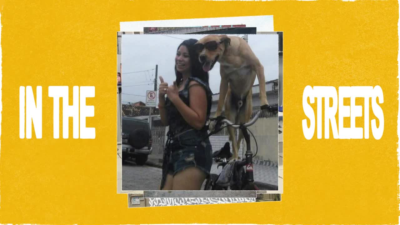 Pedigree Caramelo - Pedigree - Mars