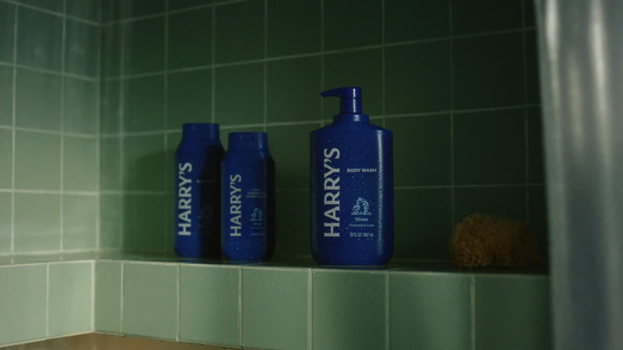 Rugged Man of Mystery - Love Song - Harry's