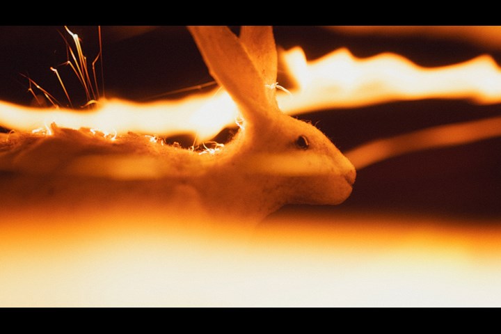 A Flammable Planet - WWF - WWF