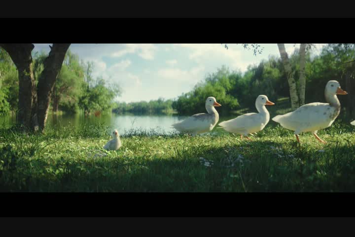 The little duck - - Disneyland Paris