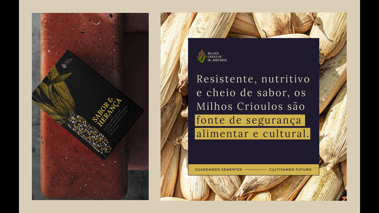 Indicação Geográfica Milhos Crioulos de Anchieta - 2024 - 