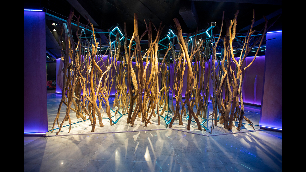 Kosmos - 2022 - BIJARI