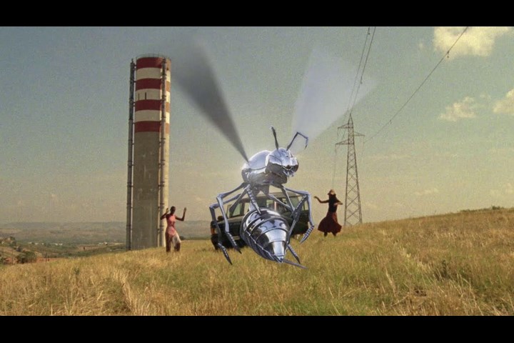 Sting like a bee - C41 -