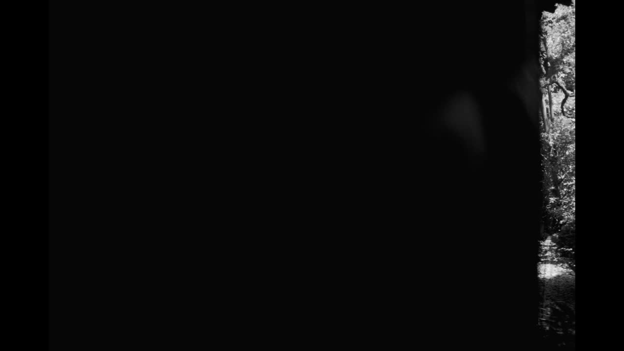 Mamushi - Prodco, PUSH Japan - PUSH Japan