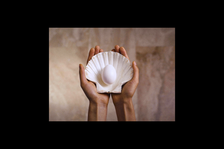 Eggshell - No production company - No brand