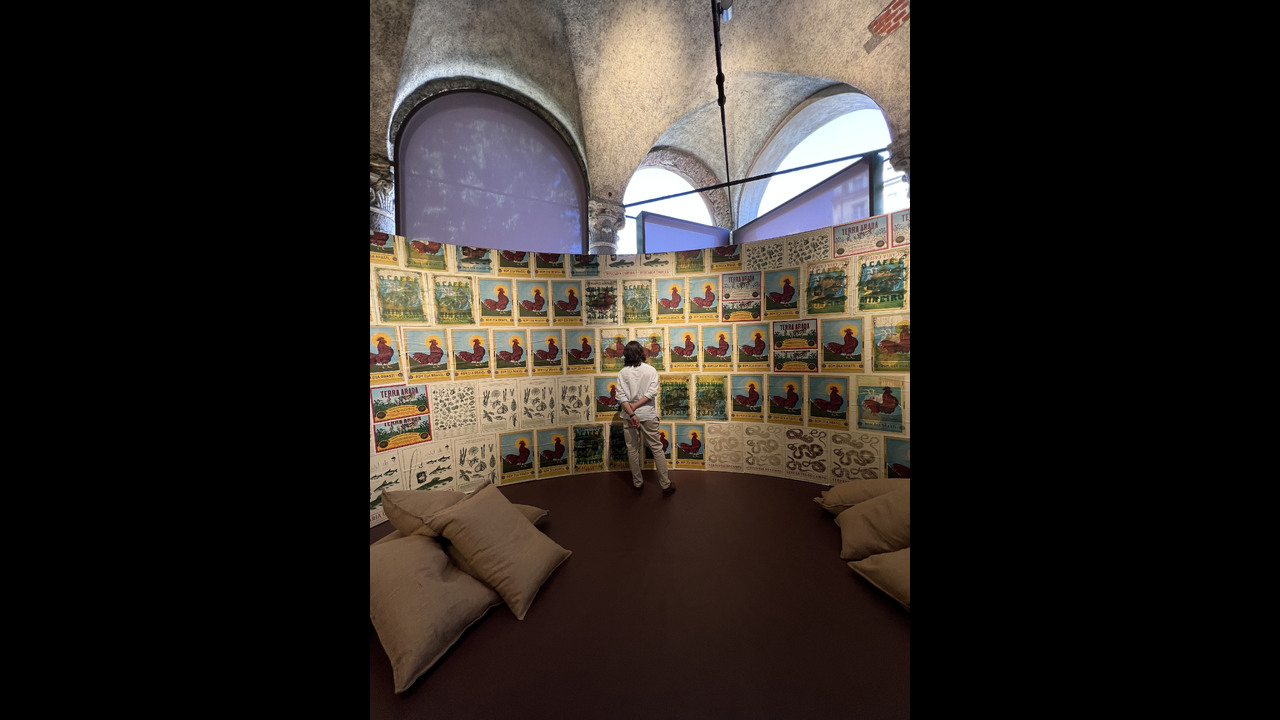 Gráfica Brasiliana - 2024 - Estúdio Arado