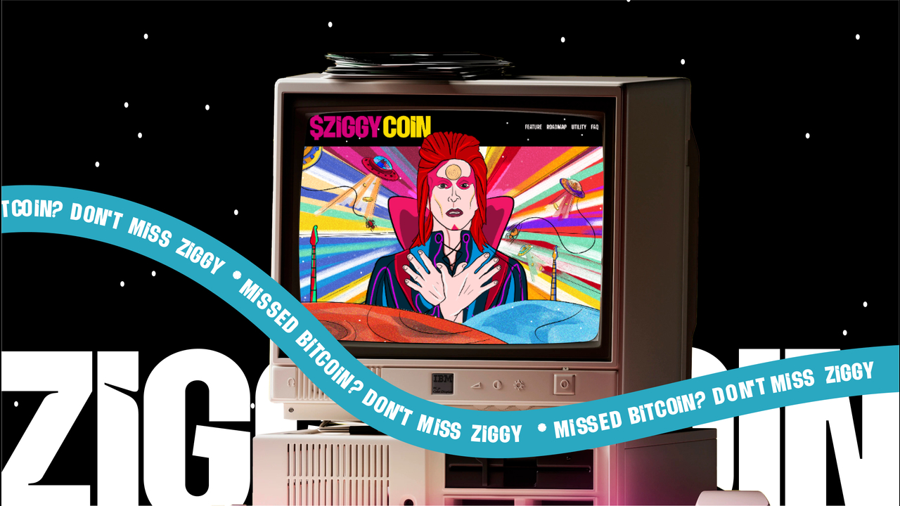 Ziggy Meme Coin - Ziggy - Ziggy