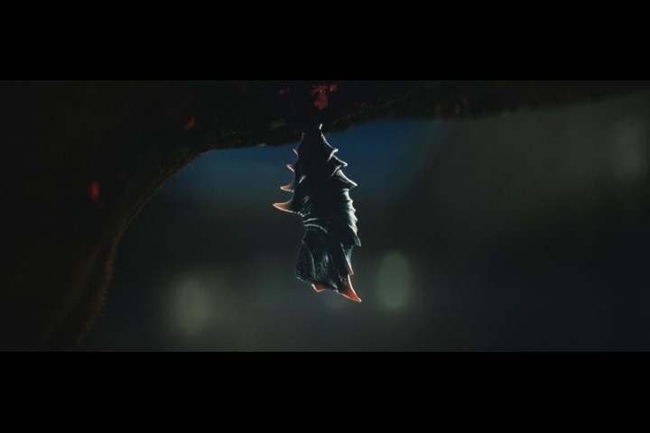 Iron Sail - Trailer - Iron Sail