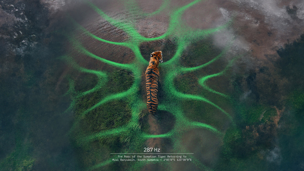 Forest Carbon - - Forest Carbon