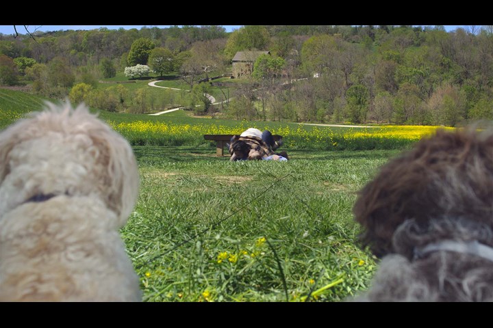 True Love - Comedy Theory - Tindog