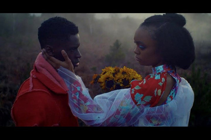Flowers - Agile Films -