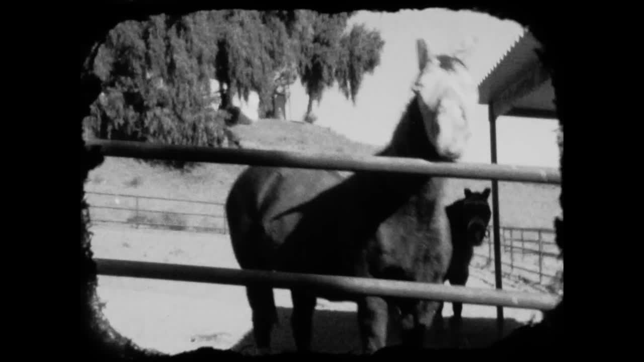 El Futuro Casi Está Aquí - Laura G. Escribano - Erin Memento